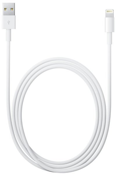 Picture of LIGHTNING TO USB CABLE (2 M)